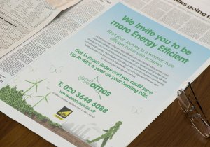 Ecoames print advert